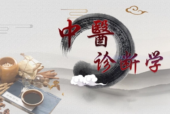 中医健康百科:中医诊断学